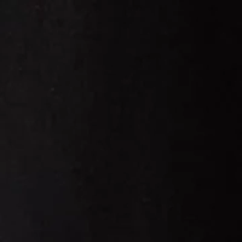 Women's Embroidered Button Front Blouse