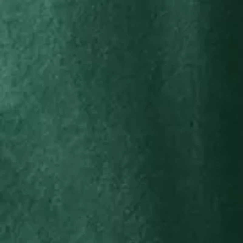 Women's Embroidered Button Front Blouse