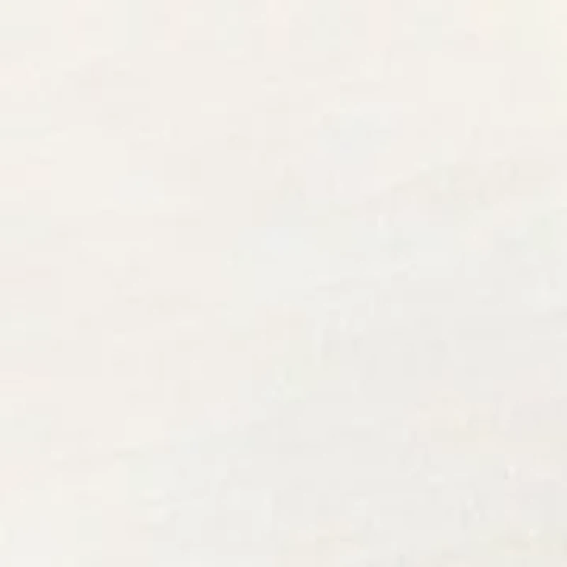 Women's Solid Short Sleeve T-Shirt