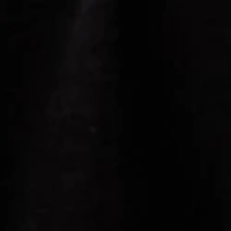 Women's Embroidered Top