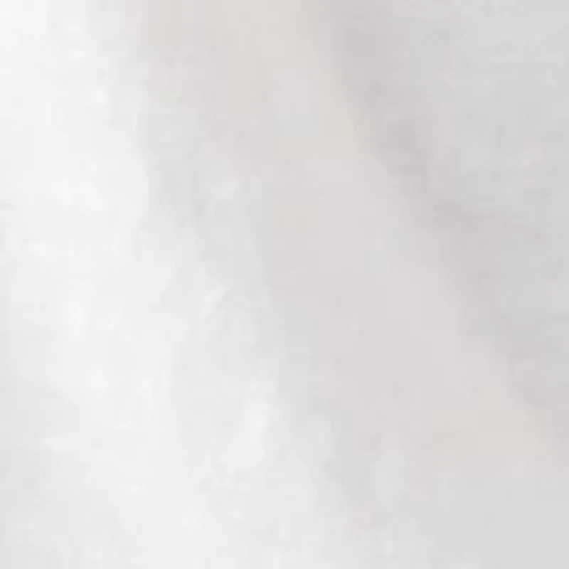 Women's Short Sleeve Embroidered Top