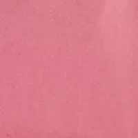 Women's Short Sleeve Graphic Tee