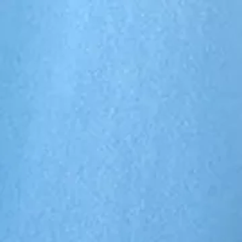 Women's Short Sleeve Graphic T-Shirt