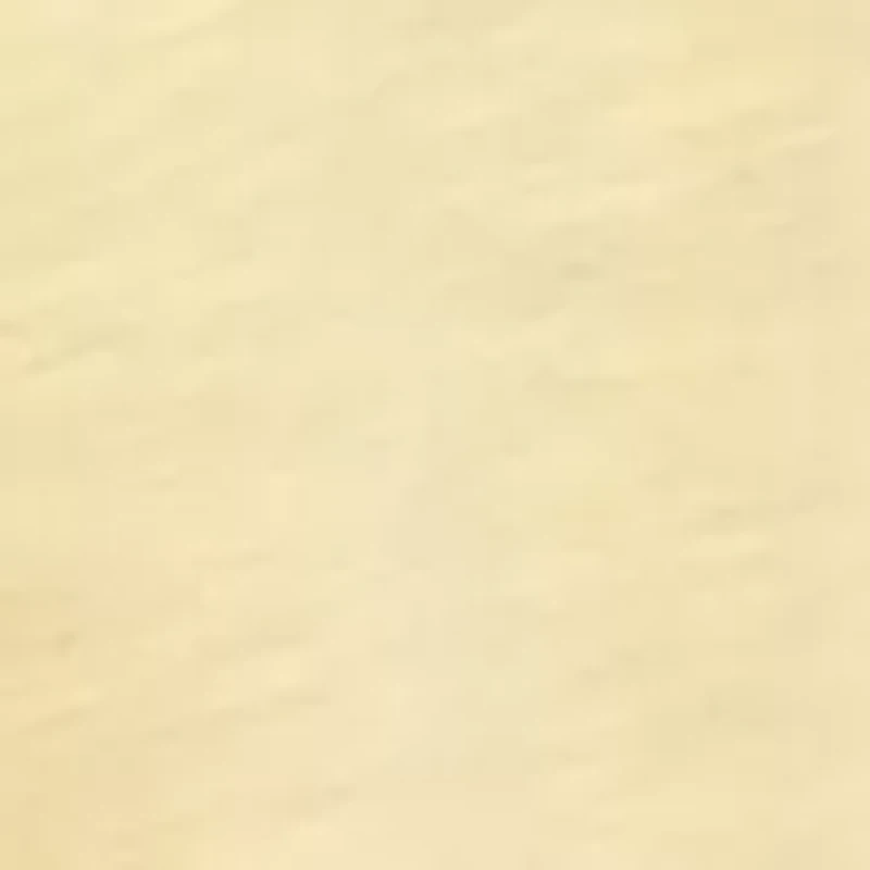 Petite Flutter Sleeve Smocked Top