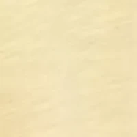 Petite Flutter Sleeve Smocked Top