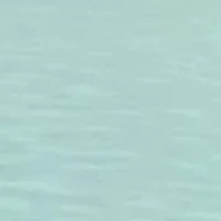 Plus Puff Sleeve Top