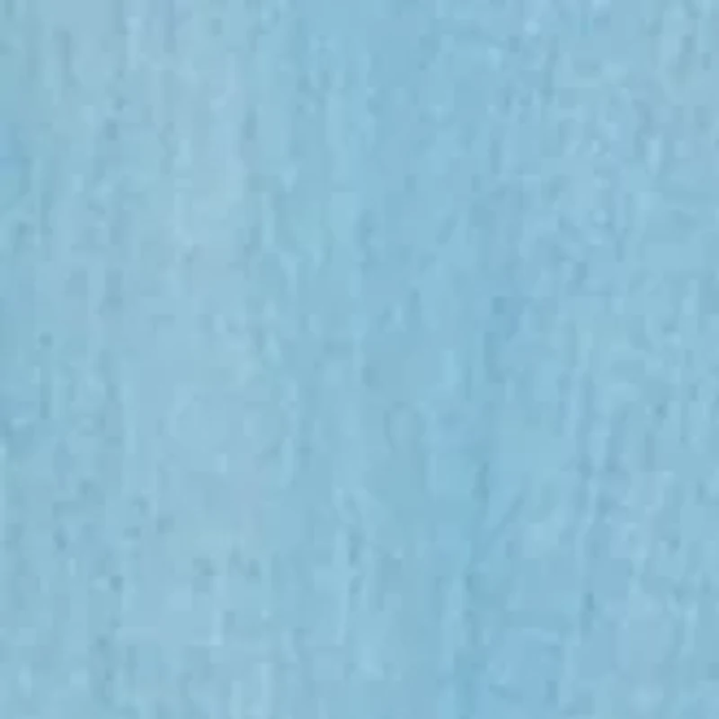 Women's Chambray Boyfriend Shirt