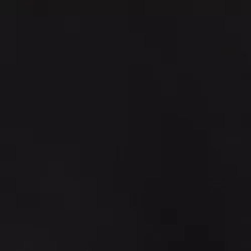 Women's Long Sleeve Button Down Tunic Shirt