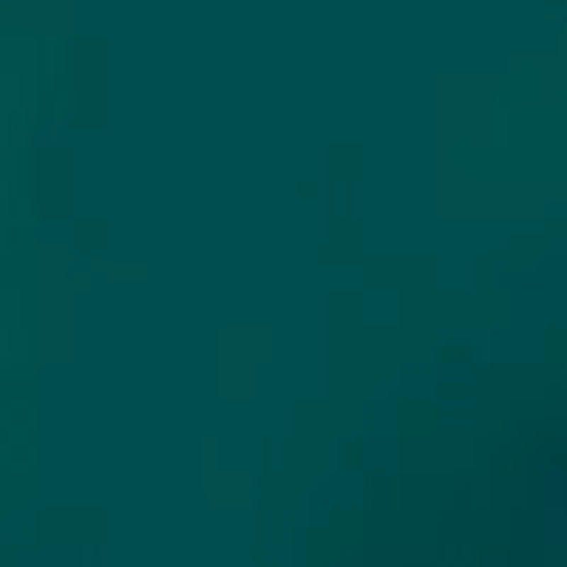 Women's Long Sleeve Button Down Tunic Shirt