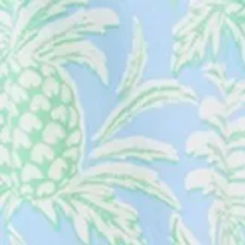 Women's Sleeveless Yoke Printed Dress