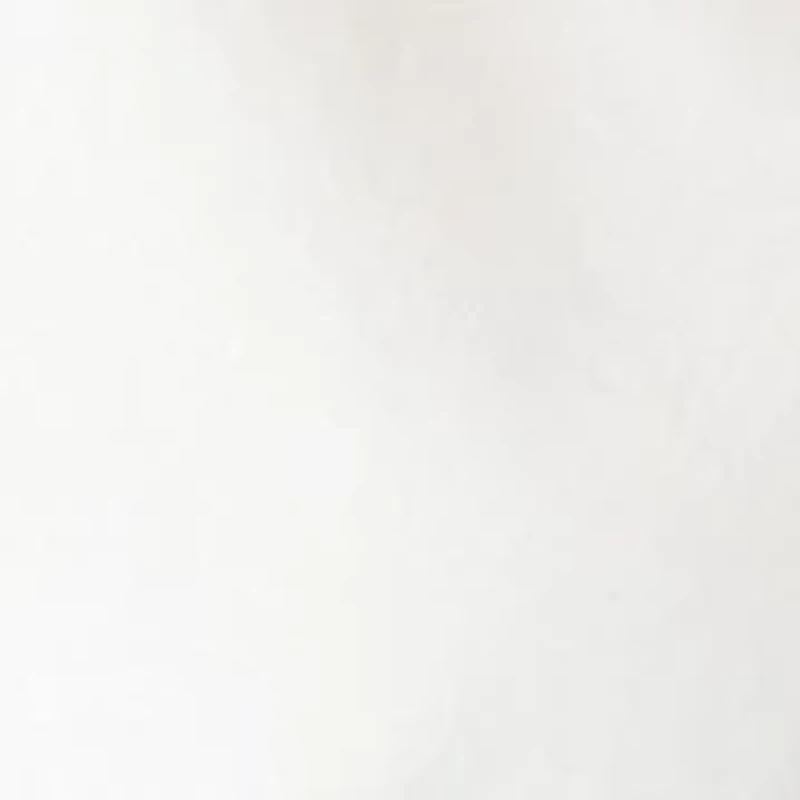 Women's Ruffle Blouse