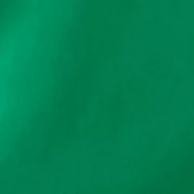 Women's Eyelet Scalloped Neck Dress