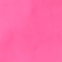 Women's Eyelet Scalloped Neck Dress