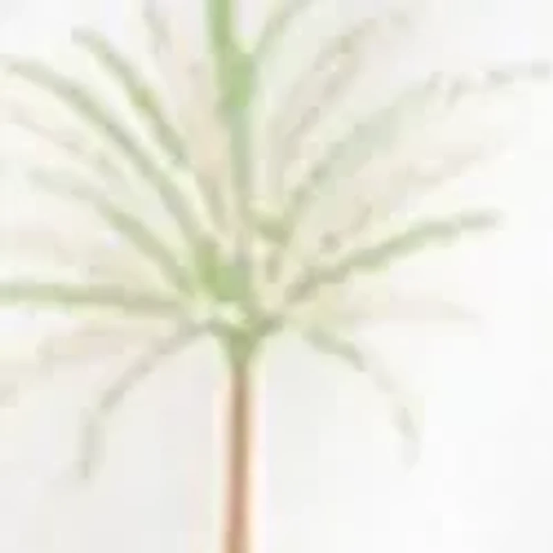 Women's Short Sleeve Printed Henley Top