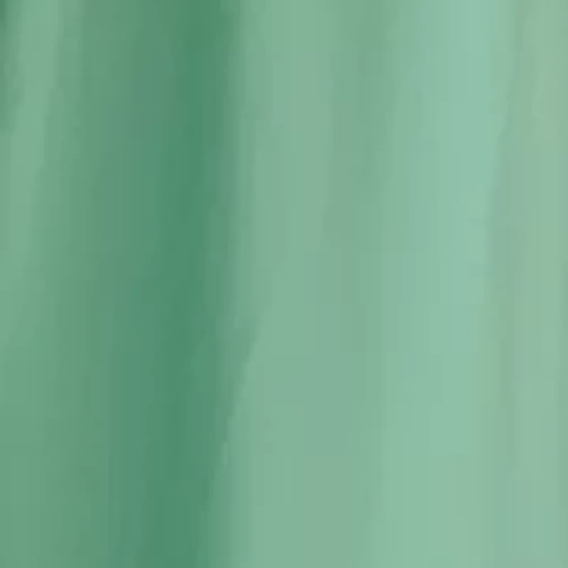 Women's Short Sleeve Waisted Maxi Dress