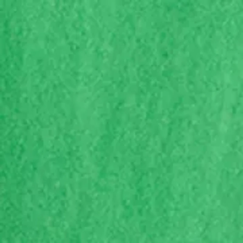 Women's Sleeveless Eyelet Top