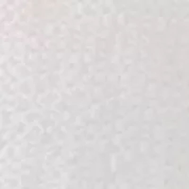 Women's Short Sleeve Textured Woven Blouse