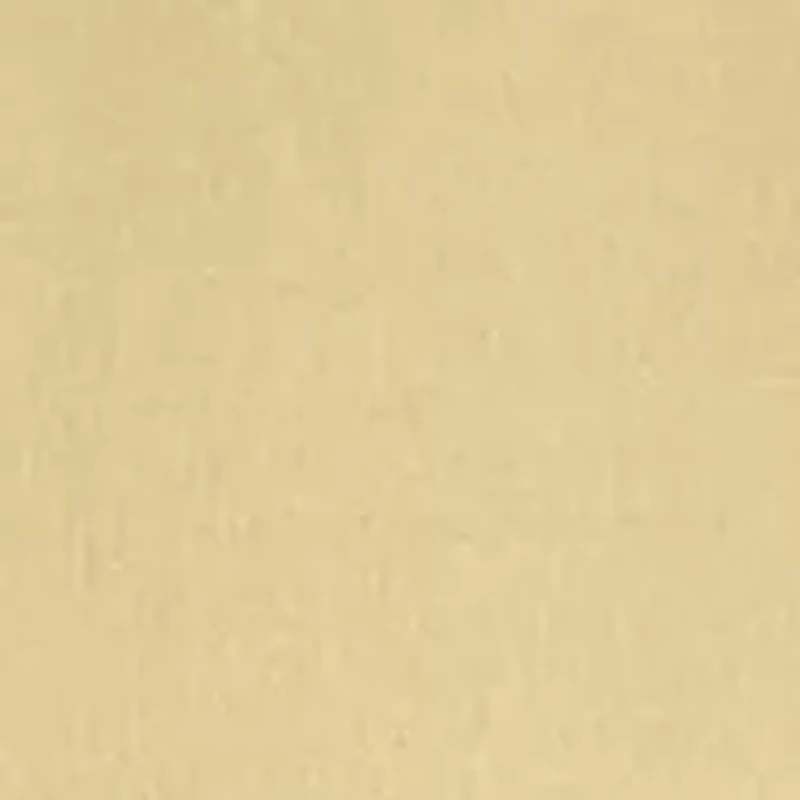 Women's Short Sleeve 3D Floral Top