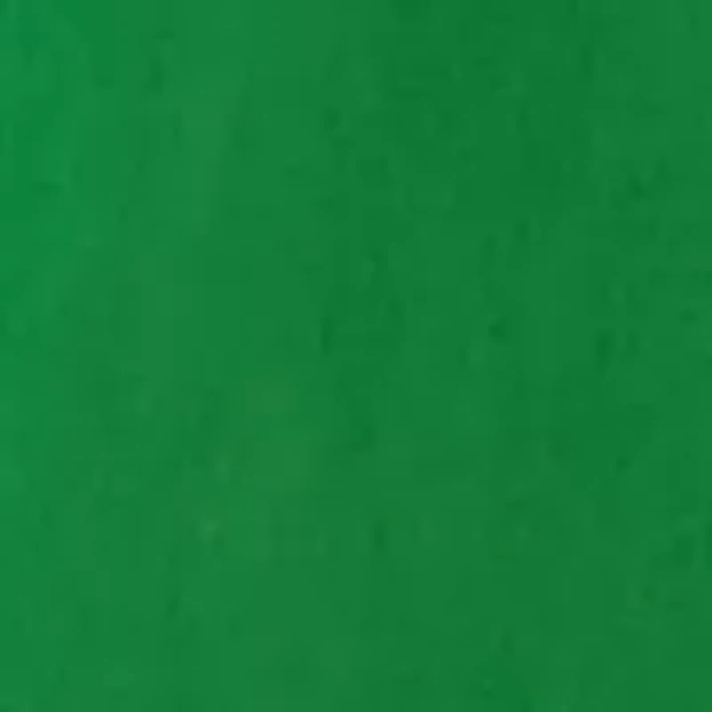 Women's Short Sleeve Embroidered Peasant Shirt