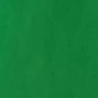 Women's Short Sleeve Embroidered Peasant Shirt