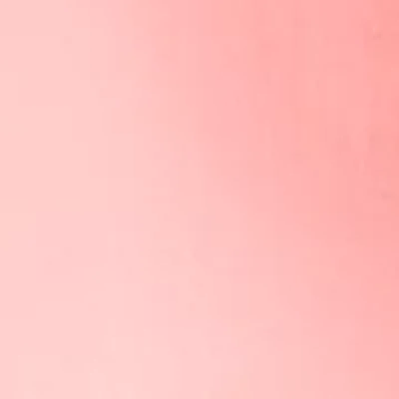 Women's Short Sleeve Ruffle Neck Top