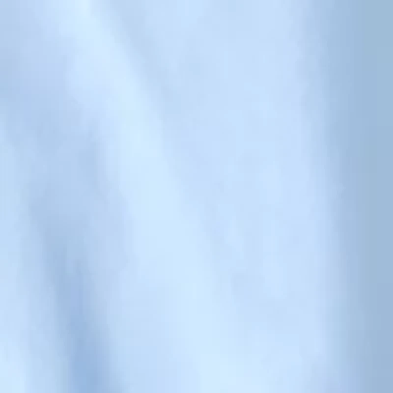 Petite Long Sleeve Eyelet Shirtdress