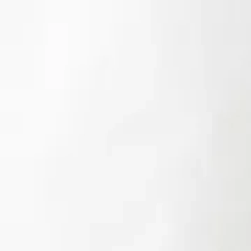 Petite Poplin Shorts