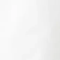 Petite Poplin Shorts