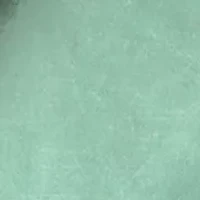 Petite Sleeveless Scallop Tiered Top