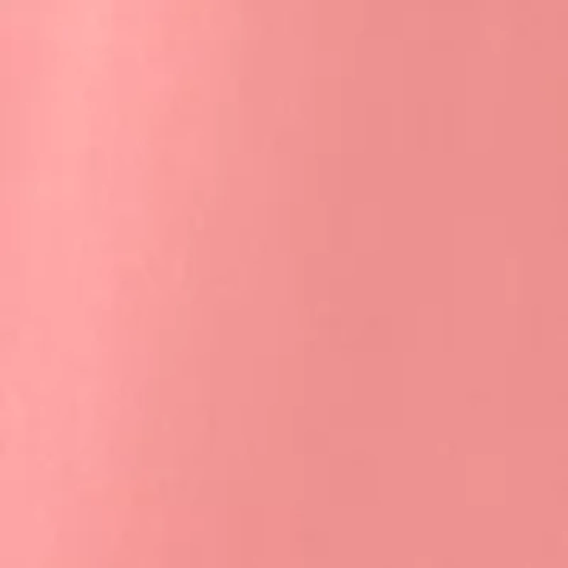 Petite Short Sleeve Ruffle Neck Top