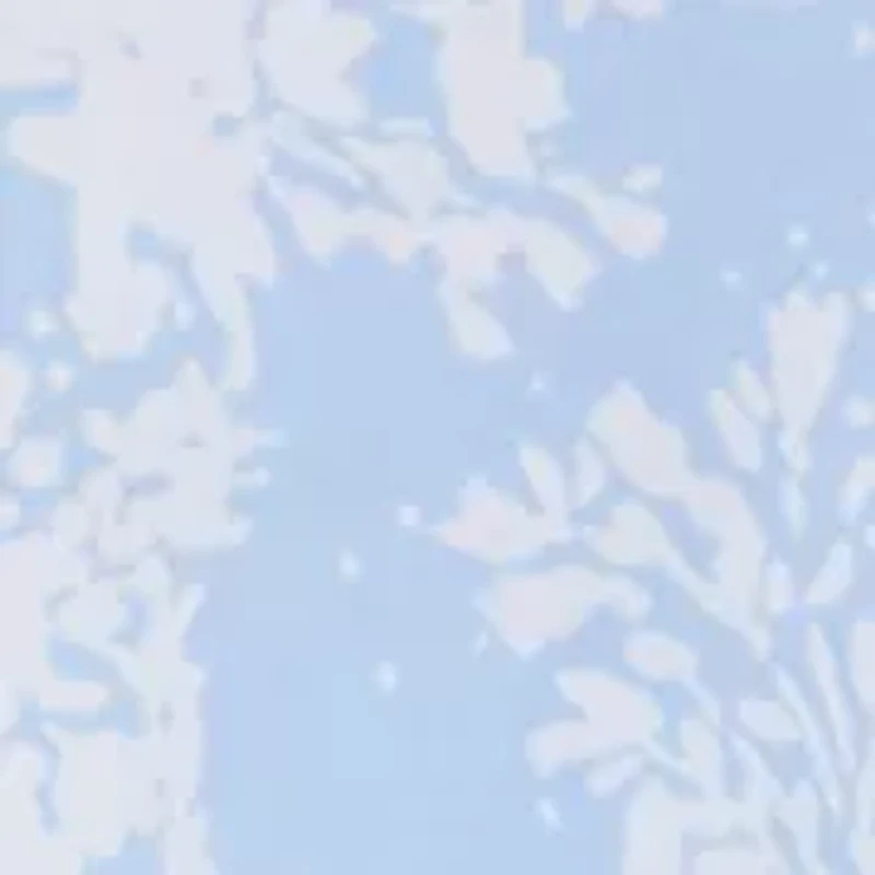 Plus Elbow Sleeve Printed Peasant Top