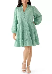Plus Long Balloon Sleeve Embroidered Dress