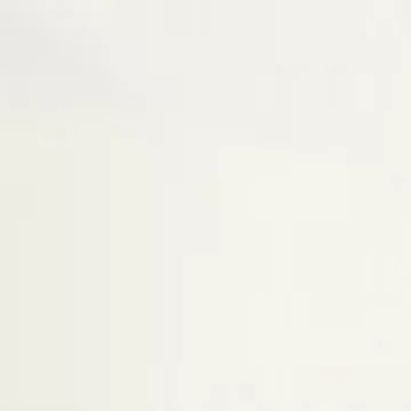 Women's Solid Classic Button Down Shirt