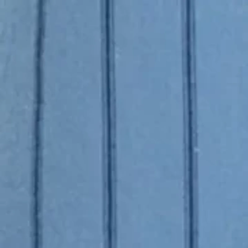 Women's Classic Button Down Shirt