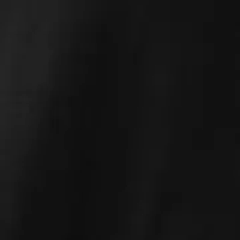 Women's Embroidered Knit Woven Dress