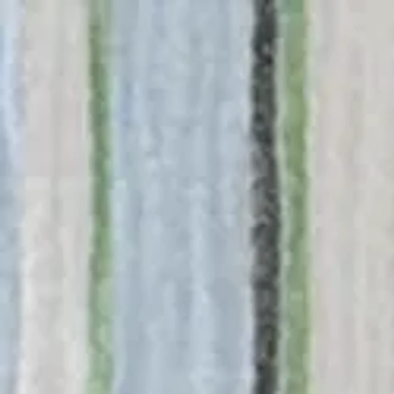 Women's Short Sleeve Shirred Shoulder Camp Shirt