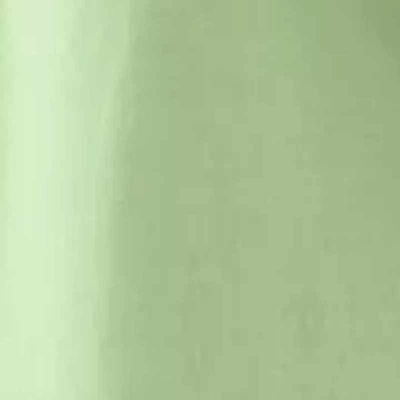 Women's Short Sleeve Button Front Midi Dress