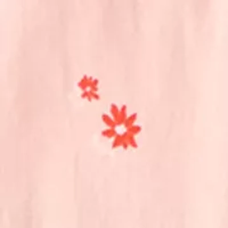 Women's 3/4 Sleeve Embroidered Printed Swing Top