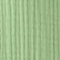 Women's Short Sleeve Gauze Swing Top