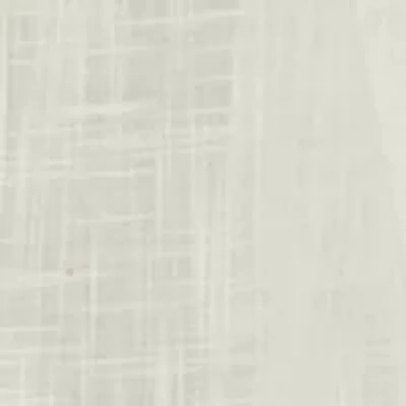 Petite Embroidered Button Down Blouse