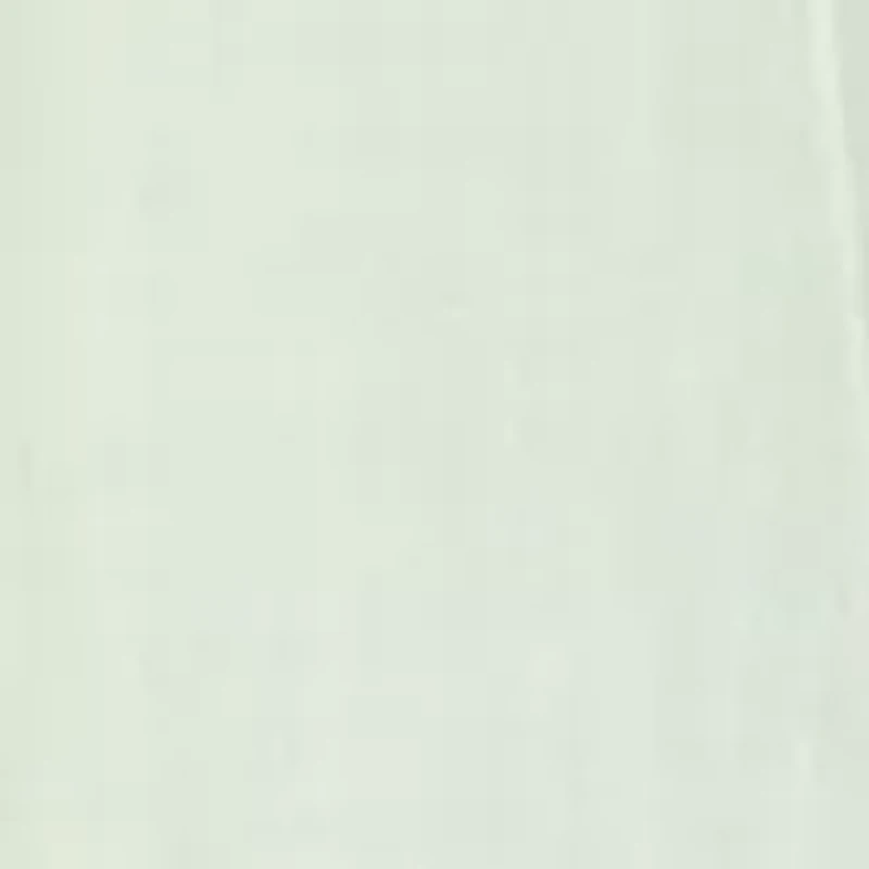 Plus Short Sleeve Shirt Dress