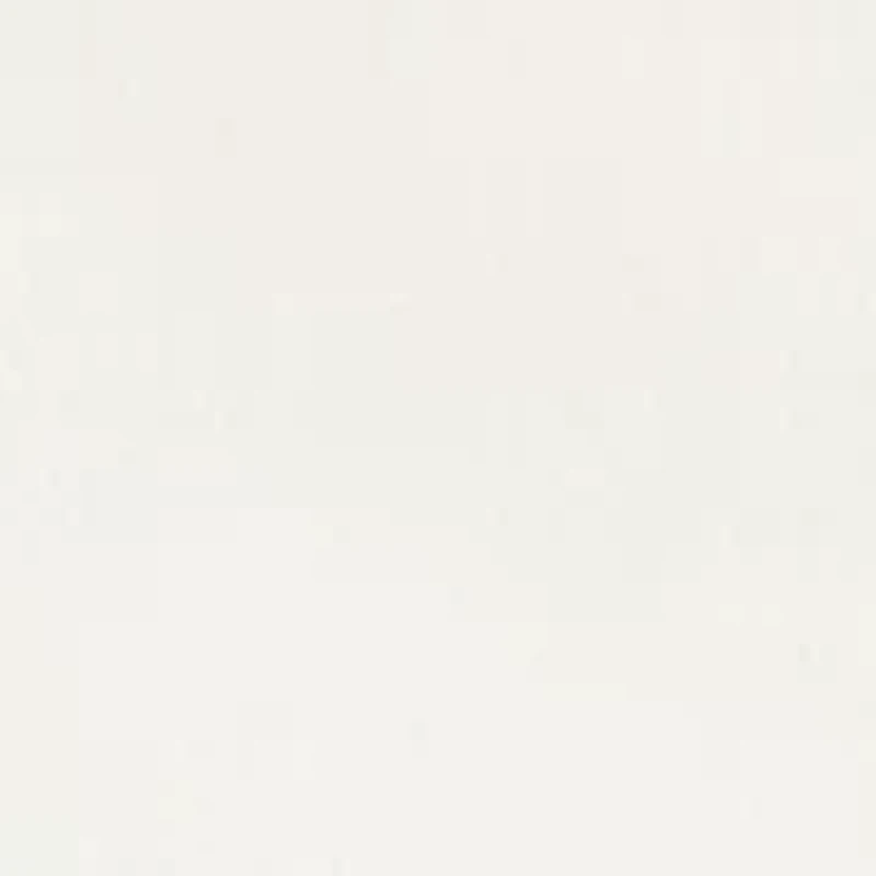 Plus Classic Solid Shirt