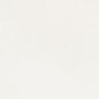 Plus Classic Solid Shirt