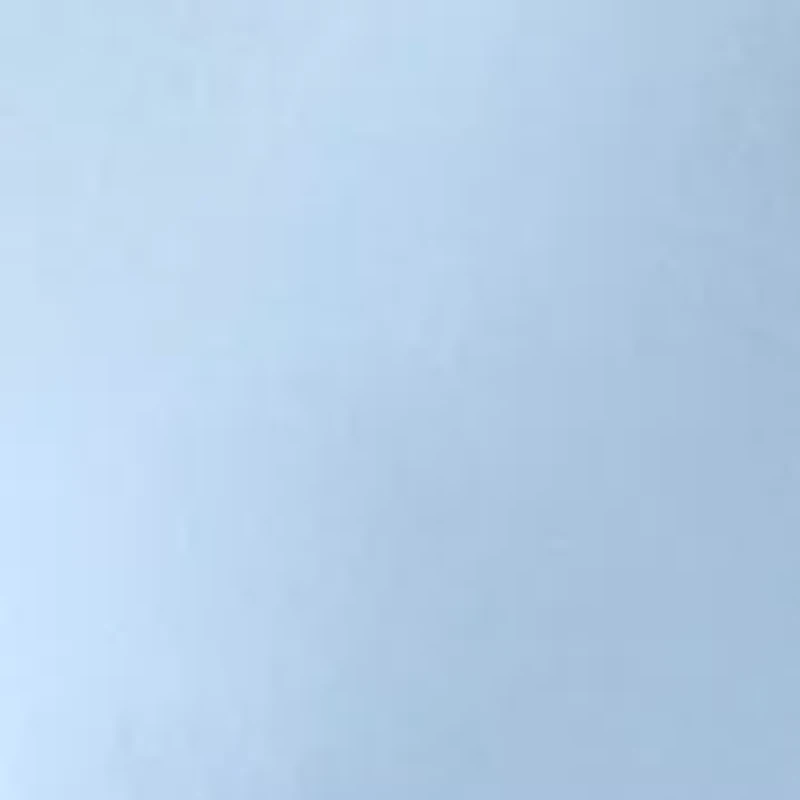 Women's Long Sleeve Button Down Swim Cover Up Dress