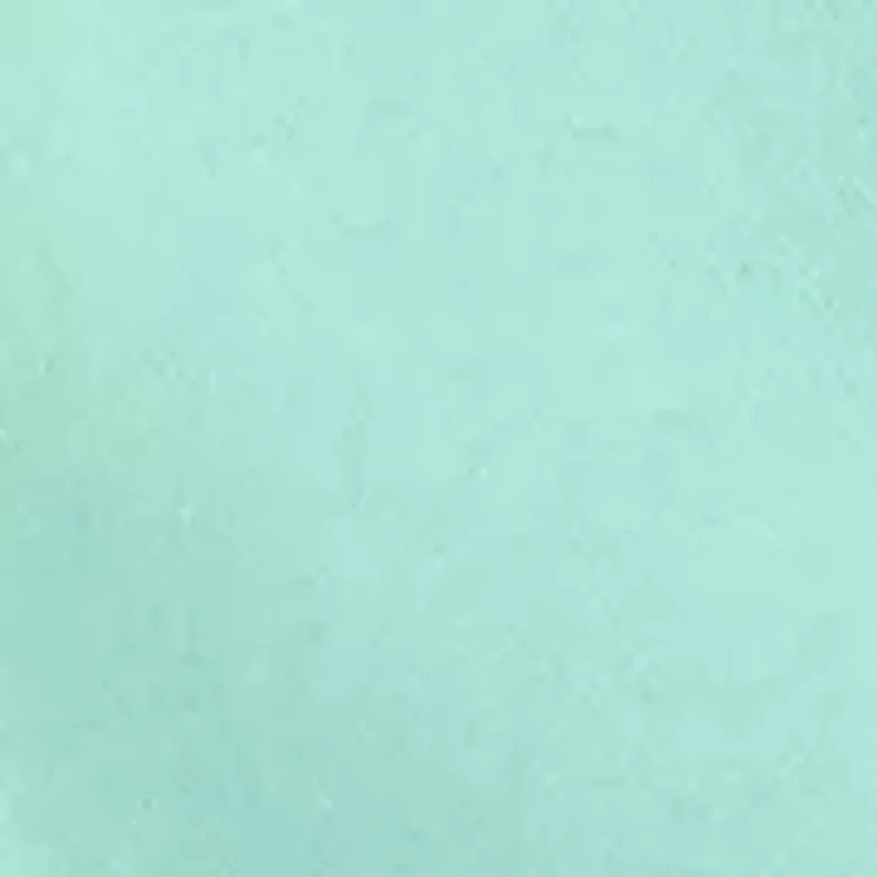 Women's Solid Ruffle Sleeve Sweatshirt