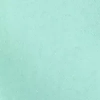 Women's Solid Ruffle Sleeve Sweatshirt