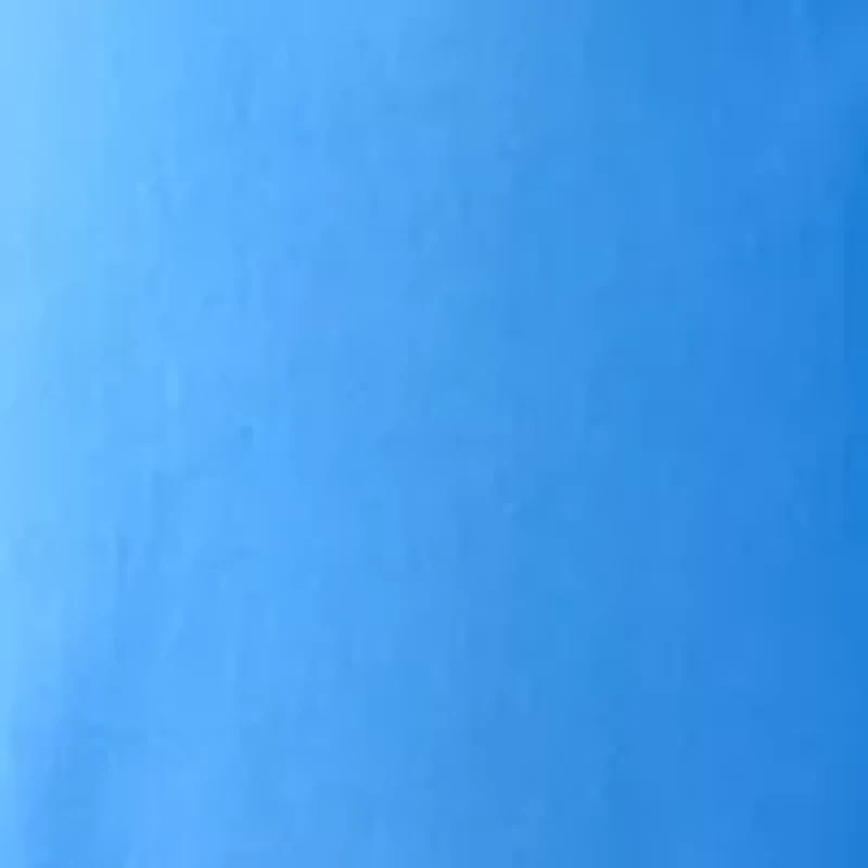 Women's 7" Caroline Shorts