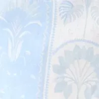 Women's Printed Shorts