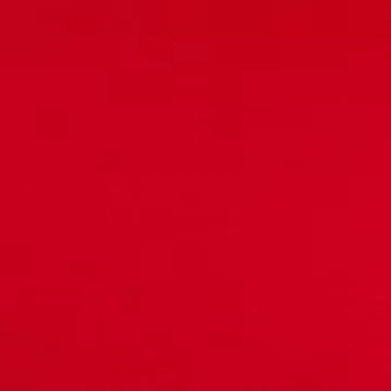 Women's Long Sleeve Embroidered Sweatshirt