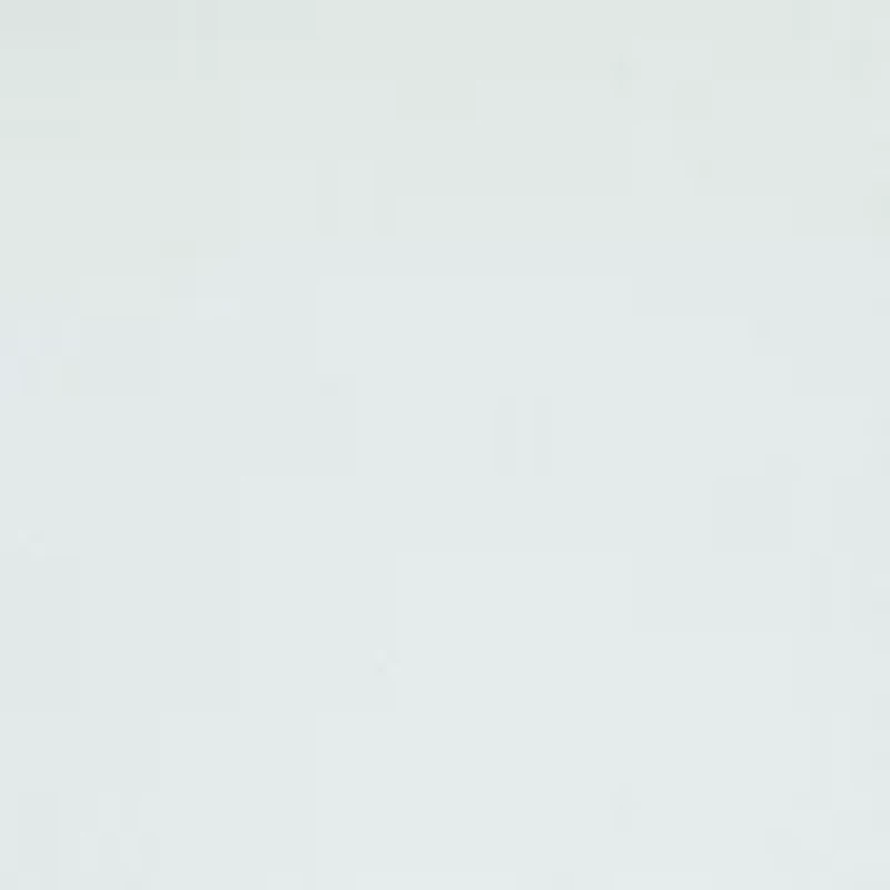 Women's Long Sleeve Raglan Crew Neck Sweatshirt